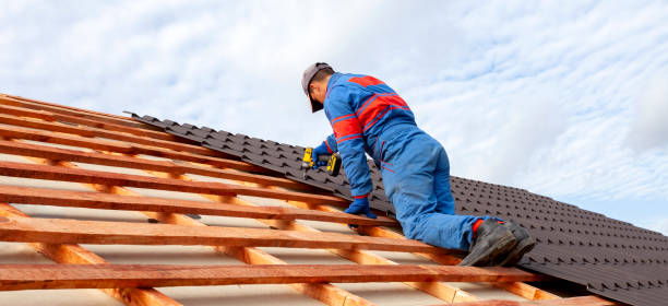 Best Sheet Metal Roofing  in Coyne Center, IL
